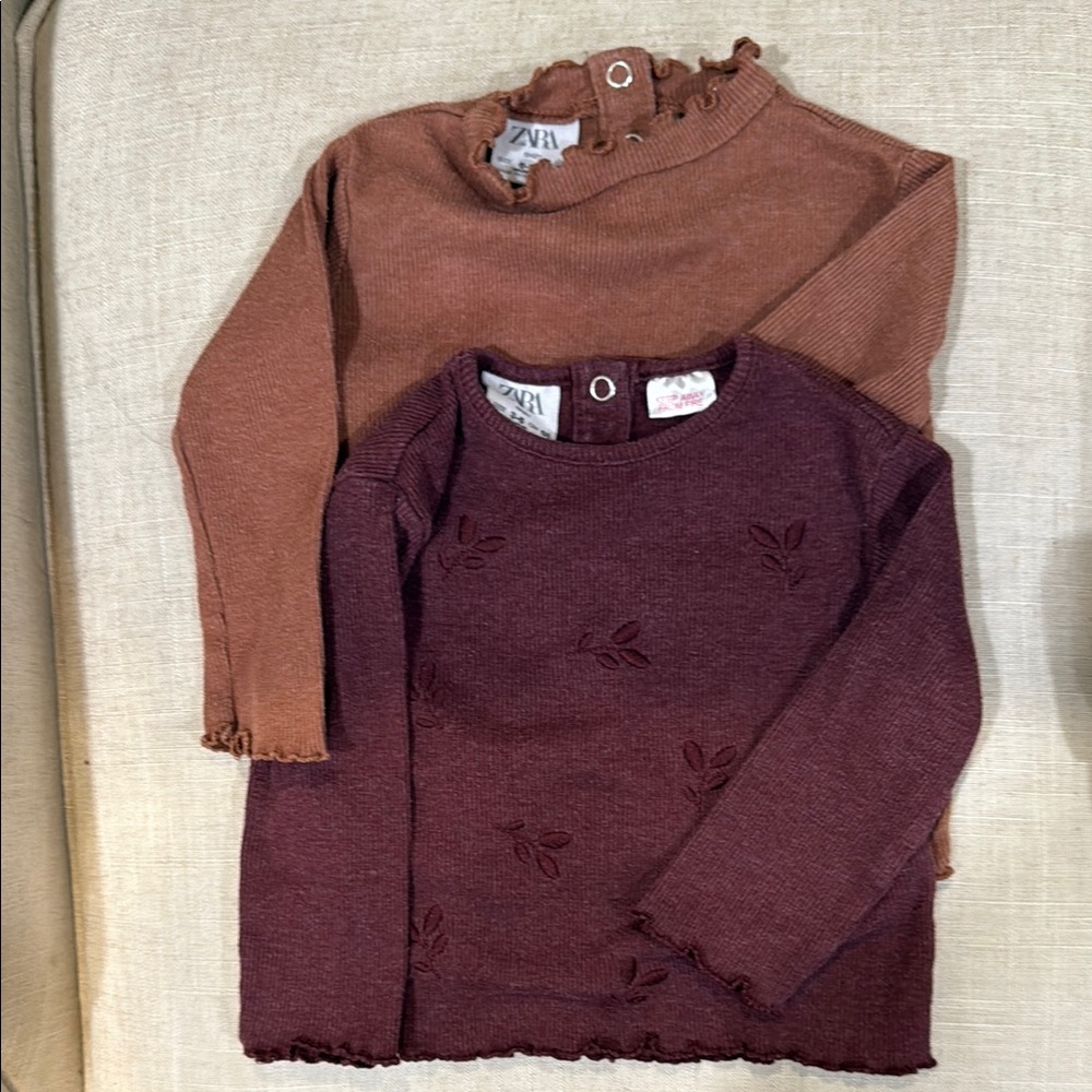 Zara Brown and Purple Long Sleeve Tees Casual Wear